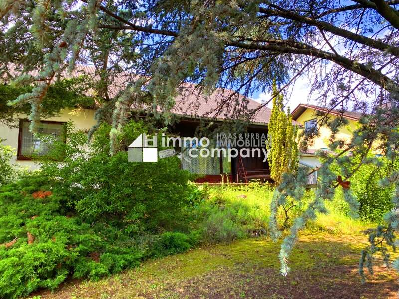 Einfamilienhaus in 7083 Purbach am Neusiedler See - 3