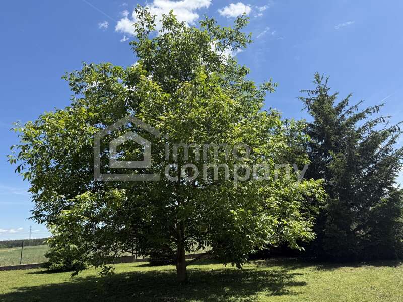 Haus in 2620 Neunkirchen - 5