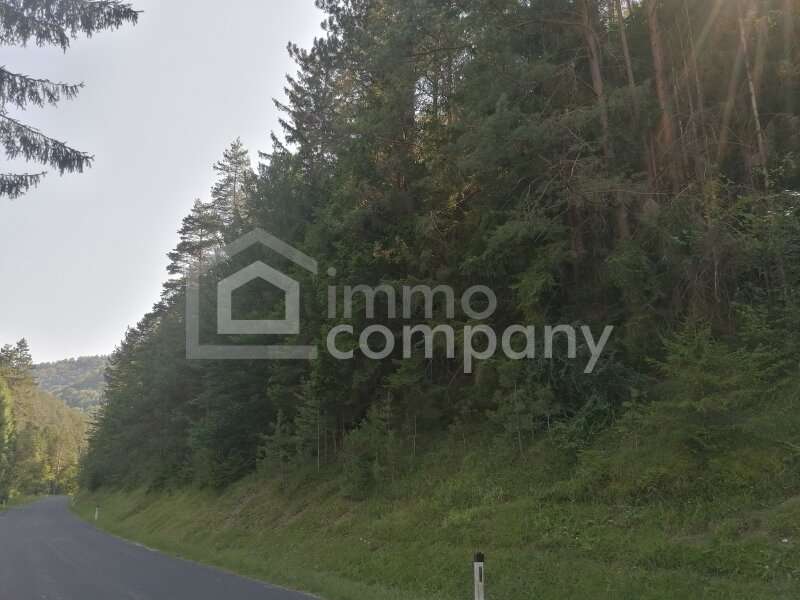 Einfamilienhaus in 2763 Pernitz - 7