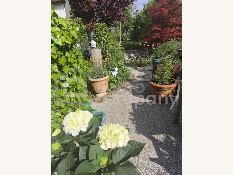 Einfamilienhaus in 2625 Schwarzau am Steinfeld - 13