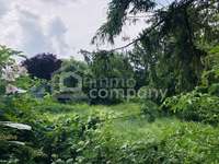 Baugrund in Mitterndorf an der Fischa