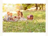 Grundstück in Dillach