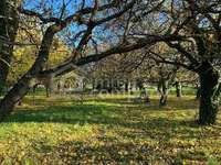 Grundstück in Hornstein