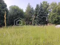 Baugrund in Hollenthon