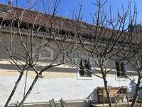 Bauernhaus in Minihof-Liebau