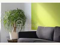 Mietwohnung in Wiener Neustadt