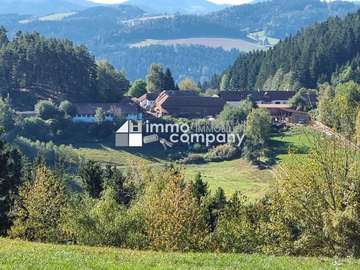 Bauernhof in Sankt Leonhard bei Freistadt /  Freistadt