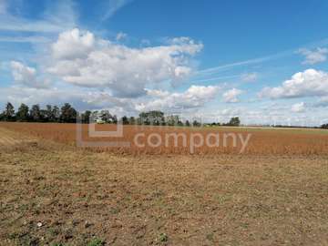 Ackerbau in Parndorf /  Neusiedl am See