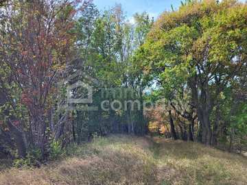 Landwirtschaft in Schwarzenbach /  Wiener Neustadt Bezirk