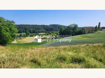 Baugrund in Oberdorf am Hochegg /  