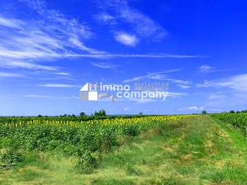 Baugrund in Winden am See /  Neusiedl am See