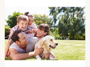 Grundstück in Dillach /  Graz Umgebung