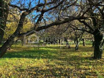 Grundstück in Hornstein /  Eisenstadt Umgebung