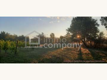 Landwirtschaftsgrund in Illmitz /  Neusiedl am See
