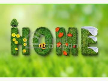 Grundstück in Sulz im Burgenland /  G&uuml;ssing