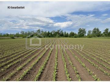 Landwirtschaftsgrund in Sollenau /  Wiener Neustadt Bezirk