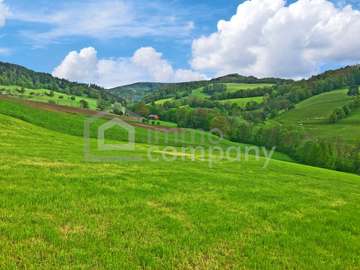 Doppelhaushälfte in Alland /  Baden