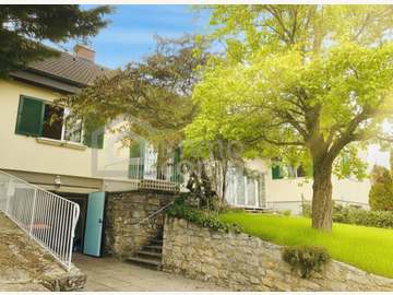 Einfamilienhaus in Breitenbrunn am Neusiedler See /  