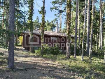 Bungalow in Hollenthon /  Wiener Neustadt Bezirk
