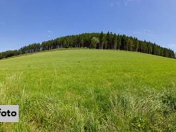 Landwirtschaftsgrund in St. Lorenzen am Wechsel