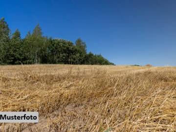 Landwirtschaftsgrund in Auerbach