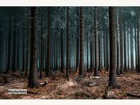 Landwirtschaftsgrund in Zahling