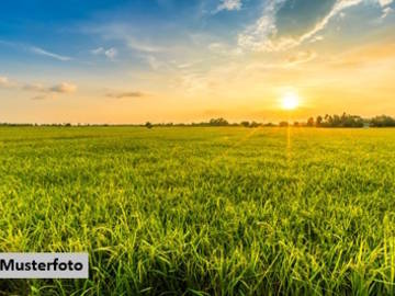 Landwirtschaftsgrund in Götzis