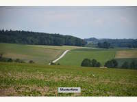 Landwirtschaftsgrund in Karlstein an der Thaya