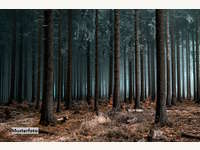 Landwirtschaftsgrund in Lavamünd