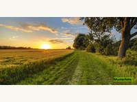 Landwirtschaftsgrund in Leutasch