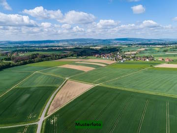 Landwirtschaftsgrund in Auerbach