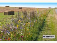 Landwirtschaftsgrund in Muthmannsdorf