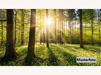 Landwirtschaftsgrund in Straß in Steiermark