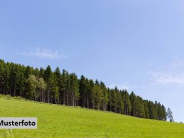 Landwirtschaftsgrund in Gallbrunn