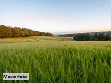 Landwirtschaftsgrund in Kukmirn