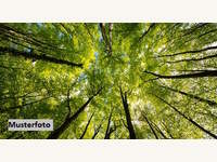 Landwirtschaftsgrund in Kirchberg in Tirol