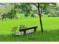 Landwirtschaftsgrund in Sebersdorf