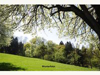 Landwirtschaftsgrund in St.Gerogen am Walde