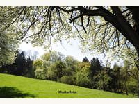 Landwirtschaftsgrund in Uttendorf