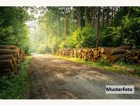 Landwirtschaftsgrund in Westendorf