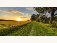 Landwirtschaftsgrund in Langenlois