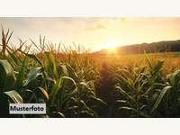 Landwirtschaftsgrund in Illmitz
