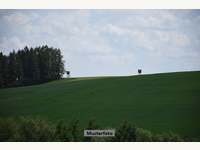 Landwirtschaftsgrund in Goldwörth
