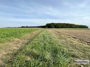 Landwirtschaftsgrund in Illmitz