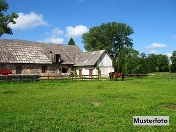 Landwirtschaft in Marchtrenk /  Wels Land