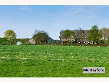 Landwirtschaft in Marchtrenk /  Wels Land