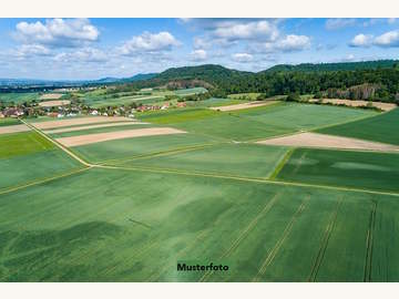 Halle in Muthmannsdorf, angrenzend an Dreistetten /  Wiener Neustadt Bezirk