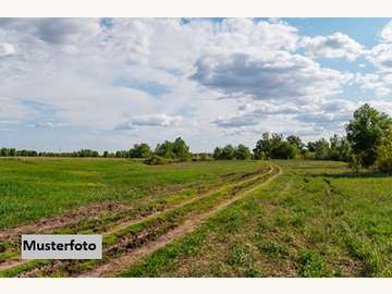 Halle in Muthmannsdorf, angrenzend an Dreistetten /  Wiener Neustadt Bezirk