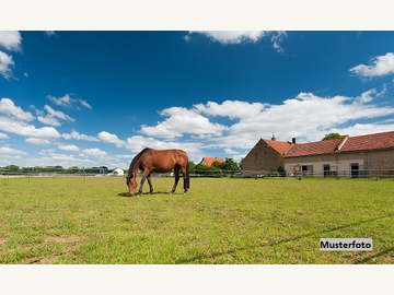 Landwirtschaft in Aigen /  Salzburg Umgebung
