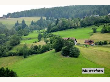 Landwirtschaft in Hüttenberg /  Sankt Veit an der Glan